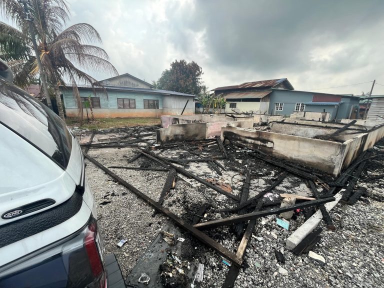 WhatsApp Image 2025-01-13 at 8.58.00 AM